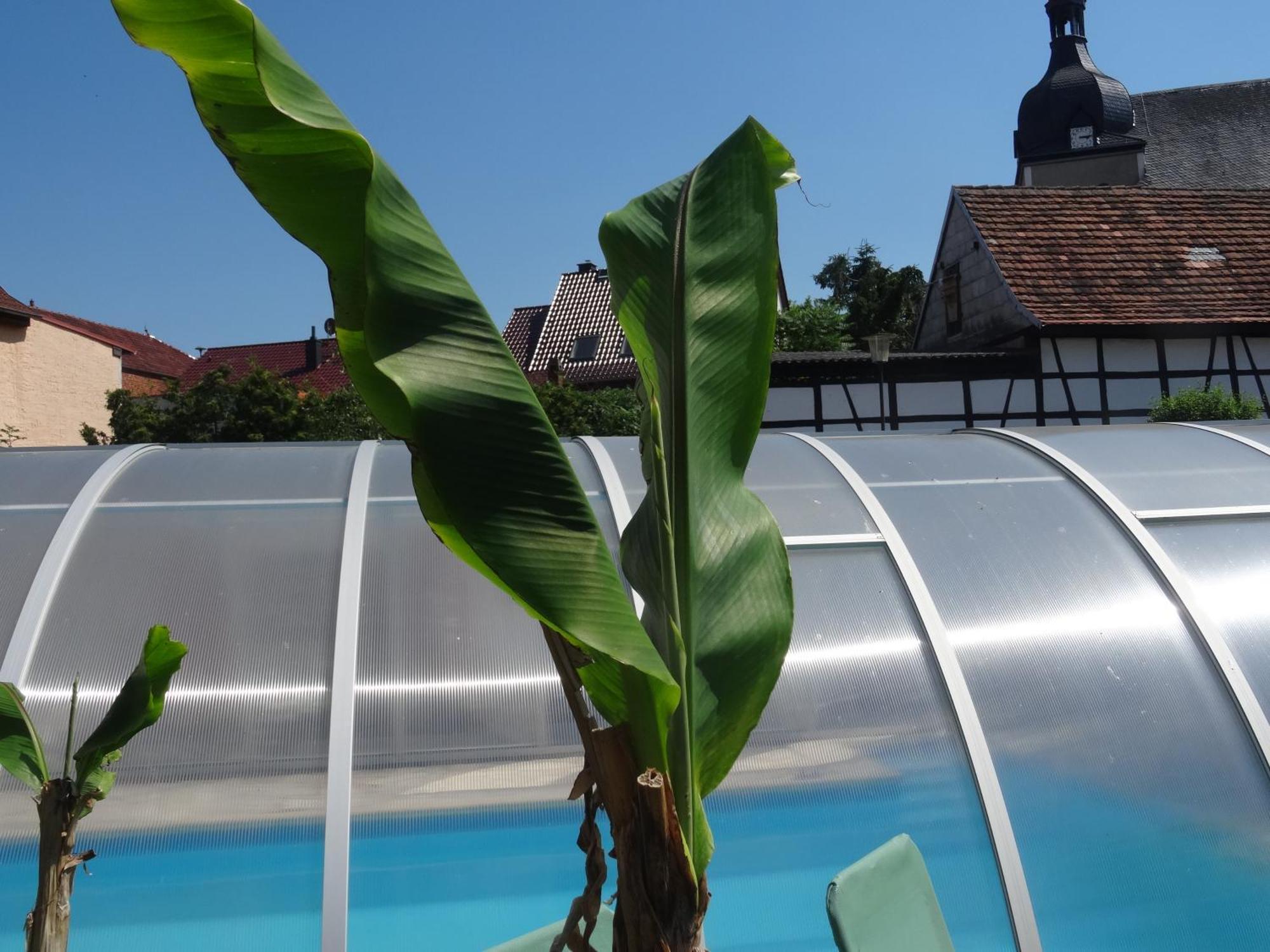 Pension Und Gaestehaus Paffrath Grossbrembach Bagian luar foto